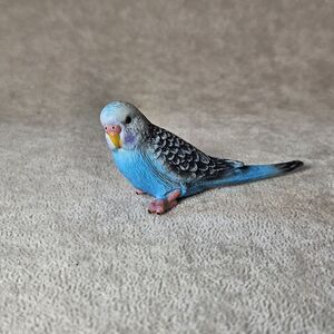 Schleich 14409 - Blue Budgie / Budgerigar Bird Retired Gently Used RARE